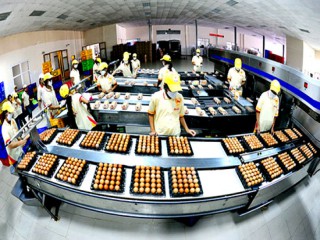 Trứng gà Ba Huân ứng dụng Công nghệ cao để xử lý và chế biến trứng sạch đạt tiêu chuẩn Quốc tế
